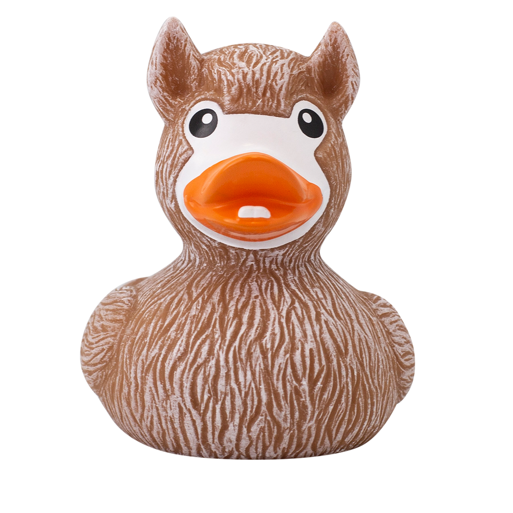canard-lama-lilalu