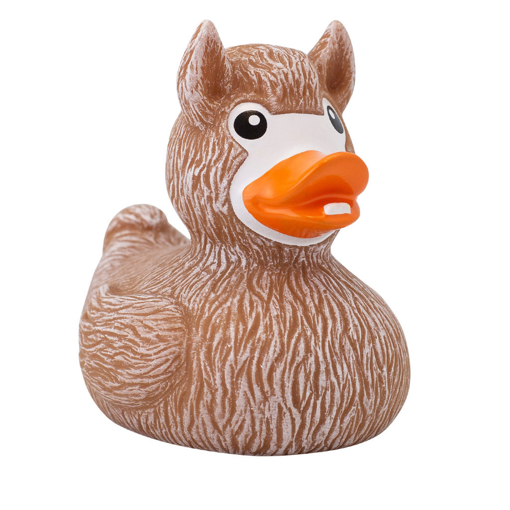 Canard Lama
