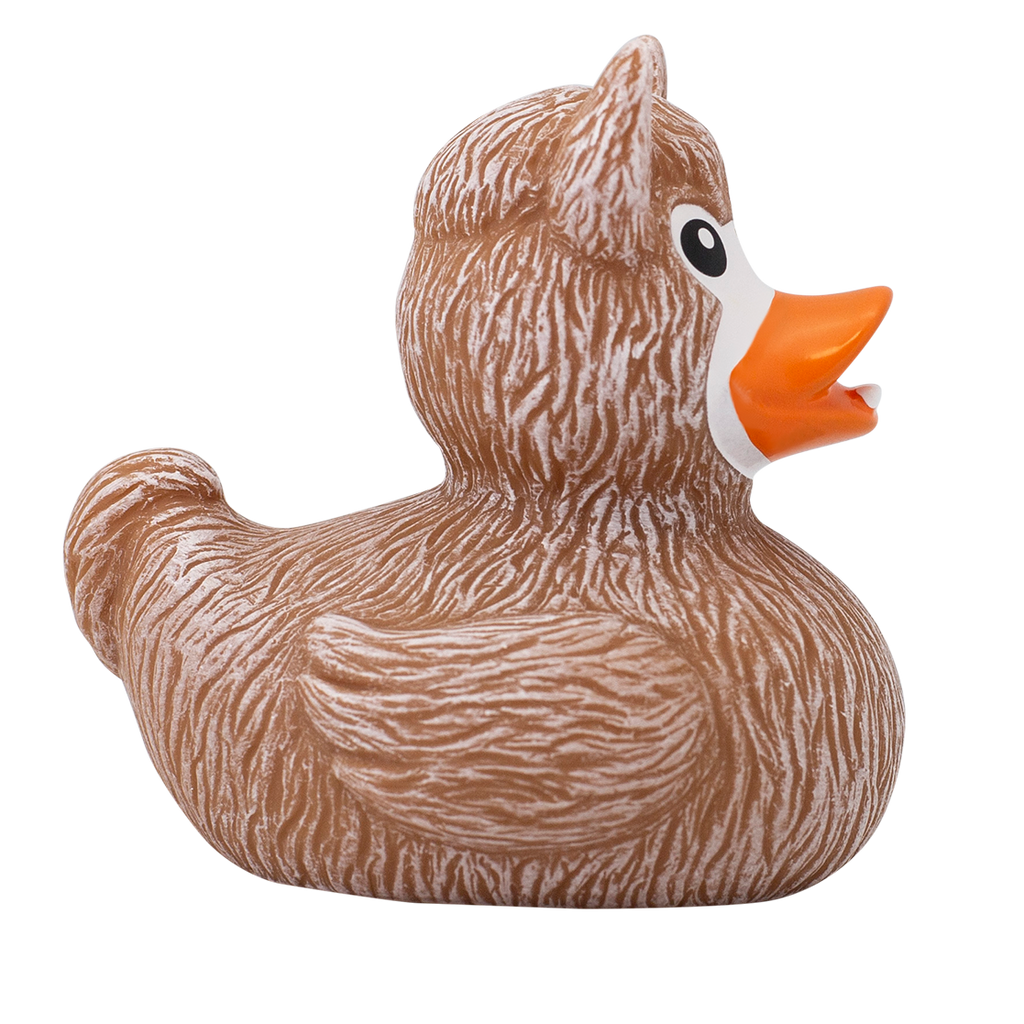 Canard Lama