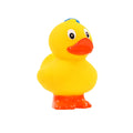 Standing Sea Duck