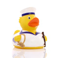 White Sea Duck