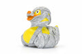 Mummy Duck