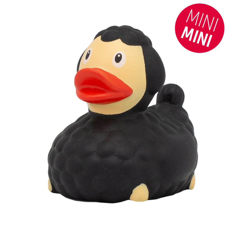 Mini Anatra Pecora Nera