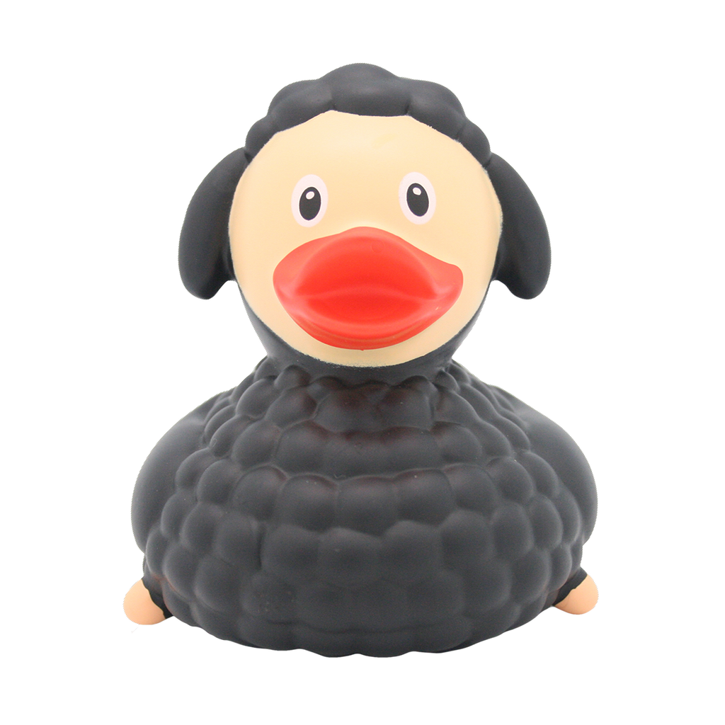 Canard Mouton Noir