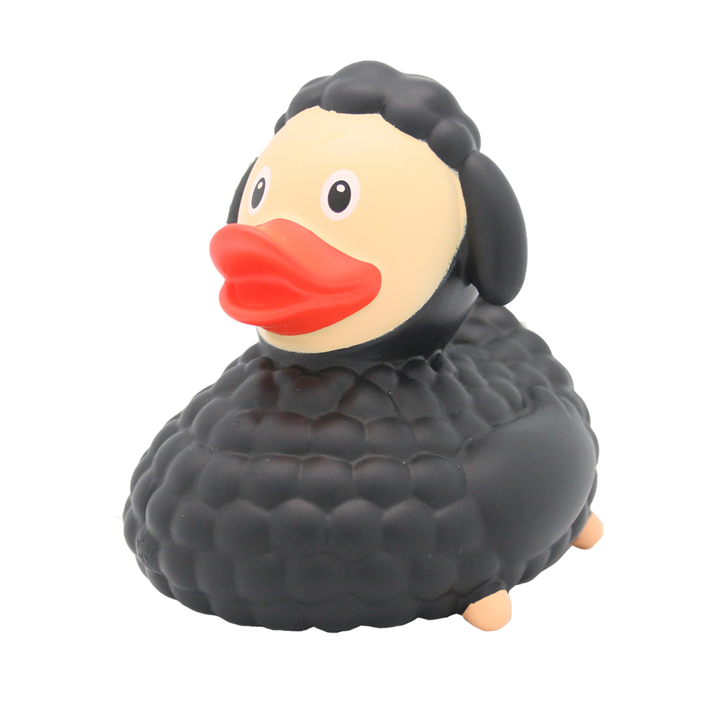 Black Sheep Duck