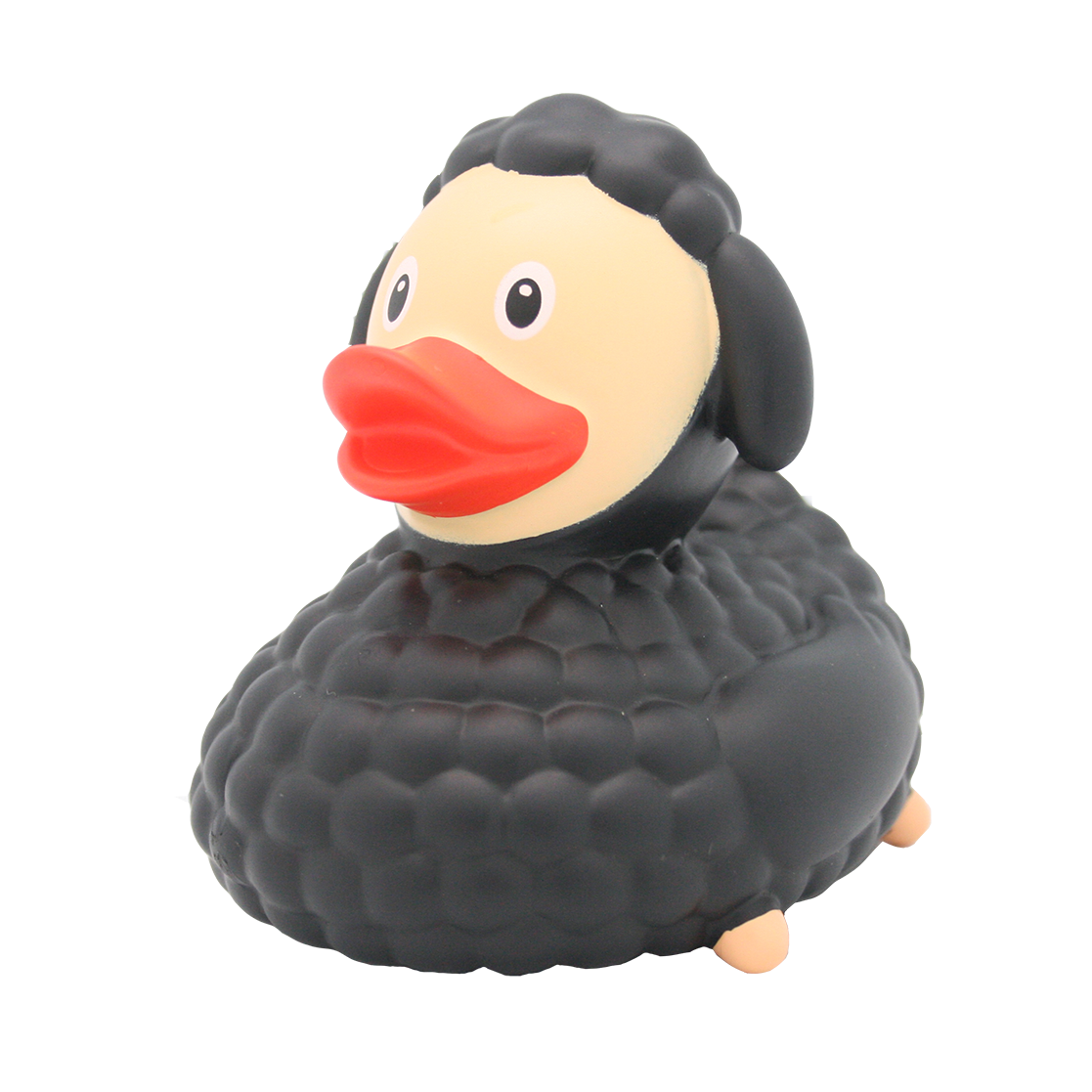 Black Sheep Duck