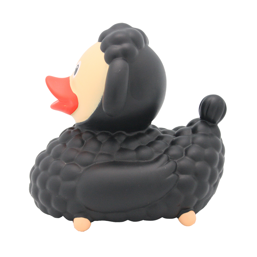 Canard Mouton Noir