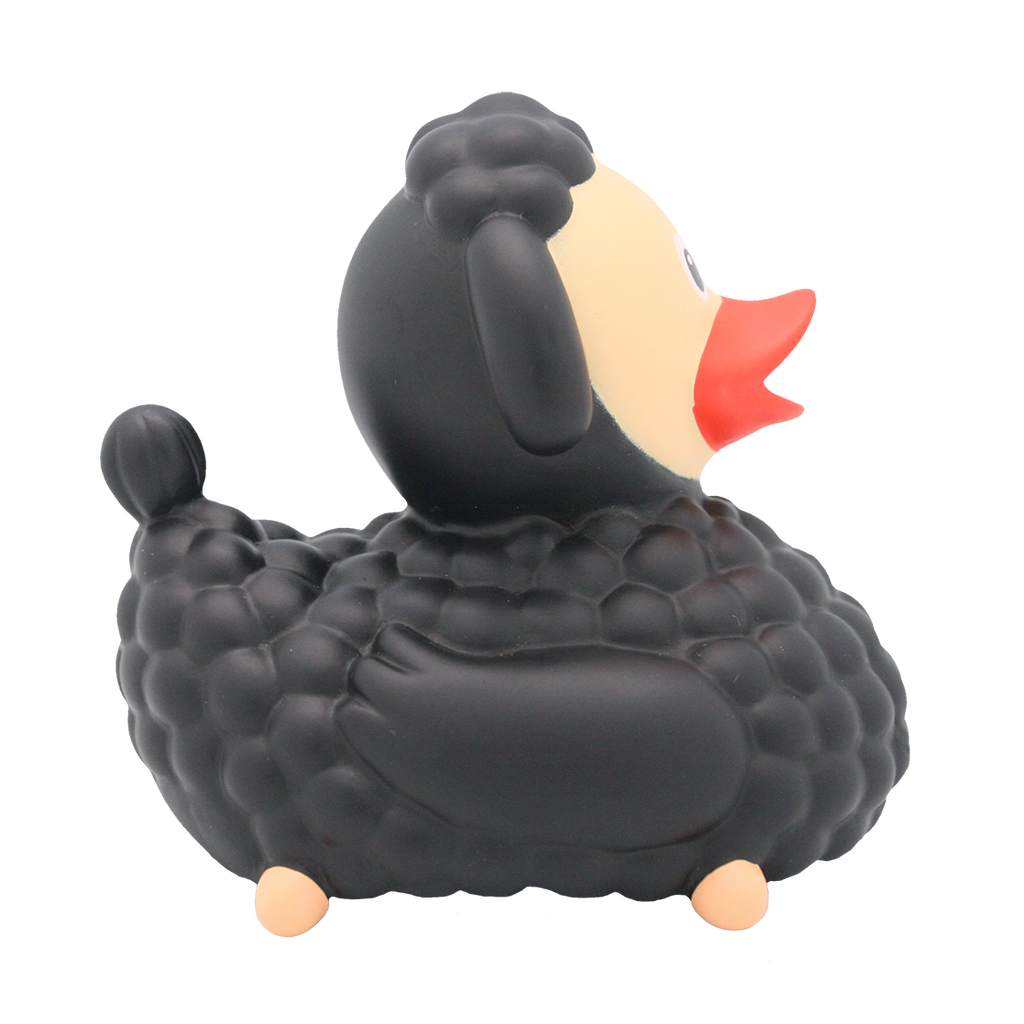 Canard Mouton Noir