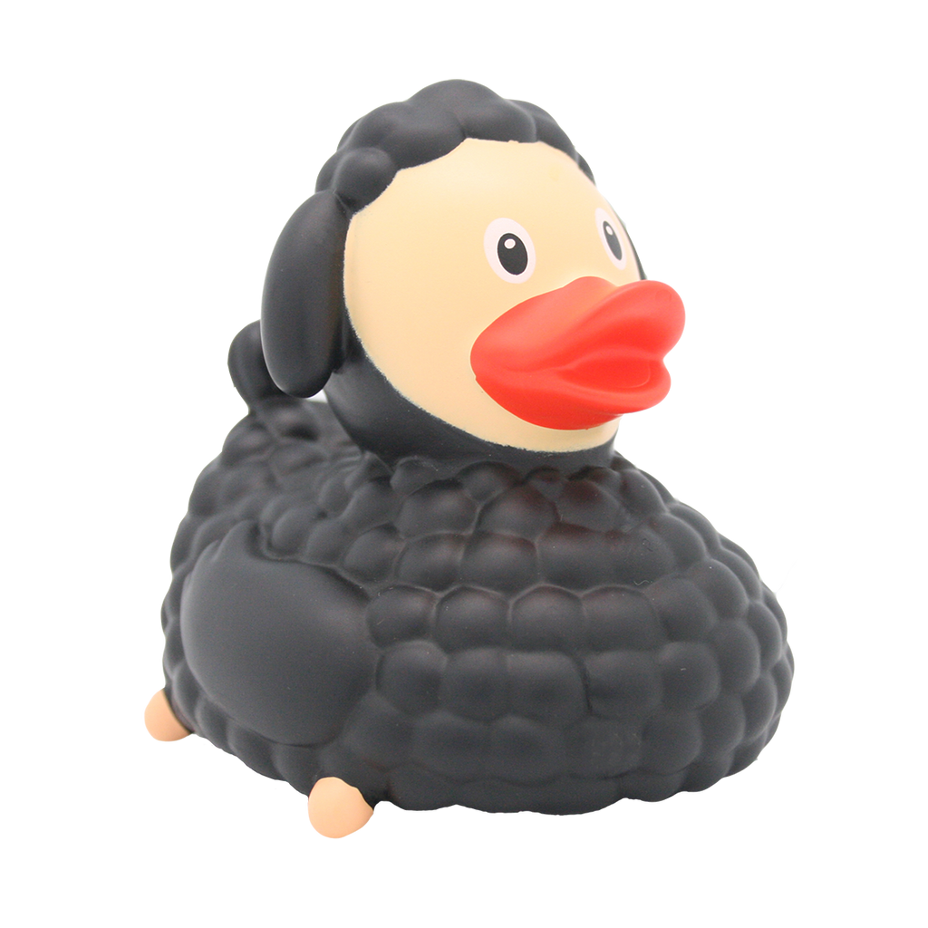 Canard Mouton Noir
