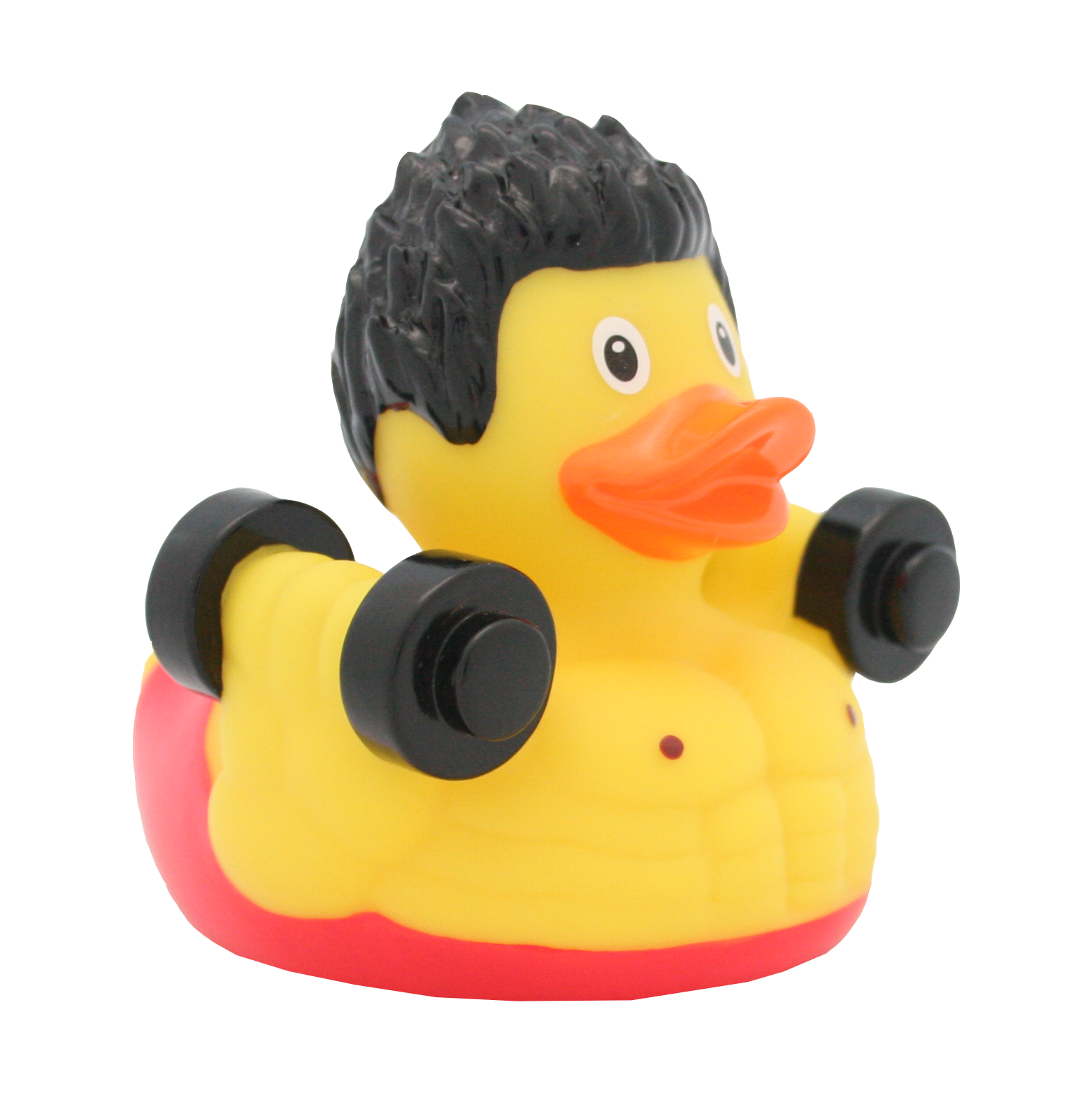 Canard Musculation