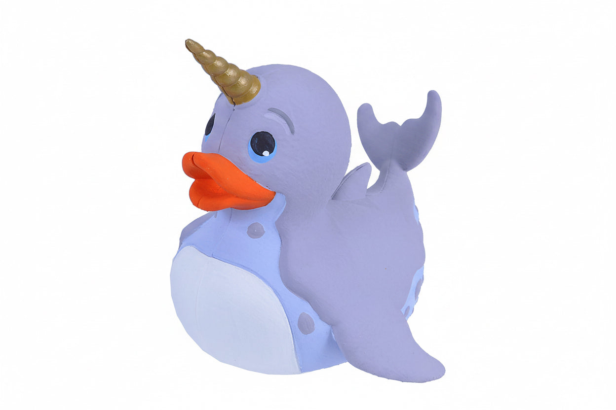 Canard Narval