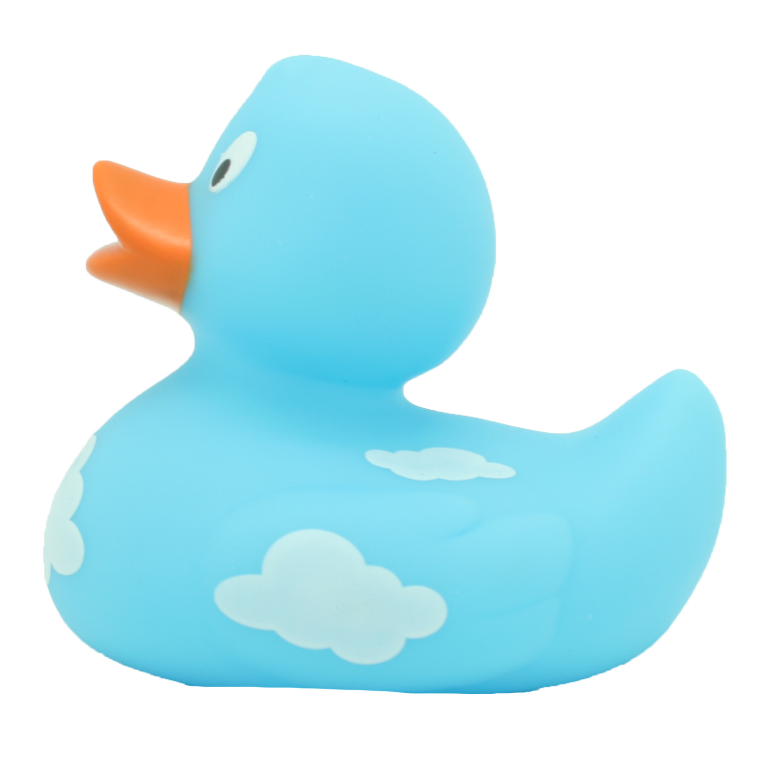Canard Nuages