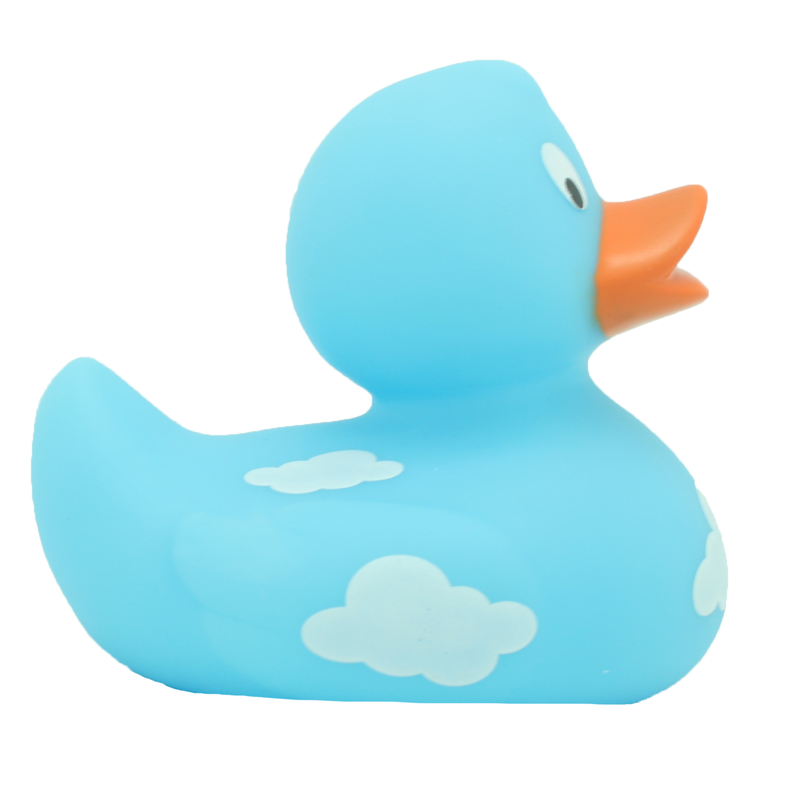 Canard Nuages