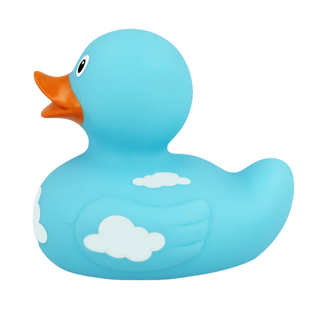Canard Nuages