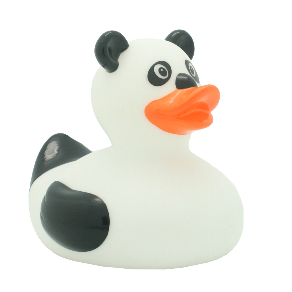 Canard Panda