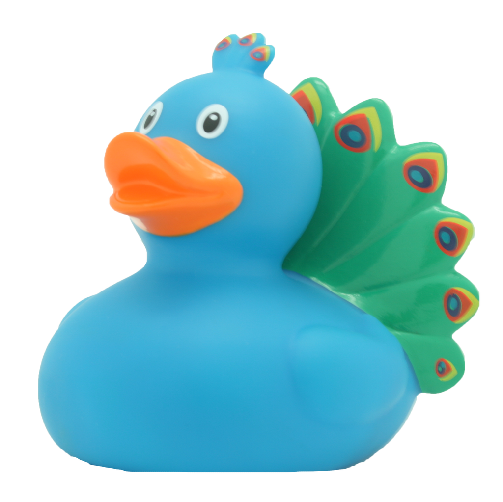 Peacock Duck