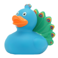 Peacock Duck