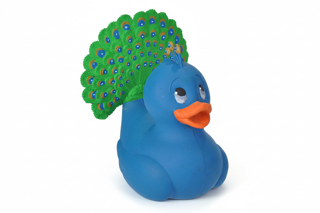 Canard Paon