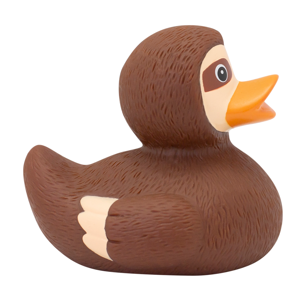 Canard Paresseux