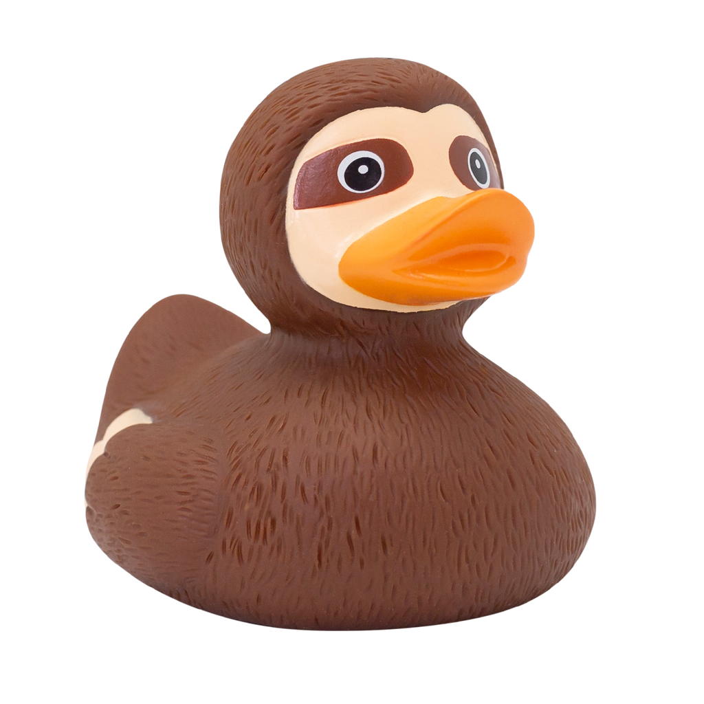 Canard Paresseux