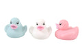 Bright Pastel Duck