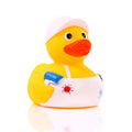 Painter Duck