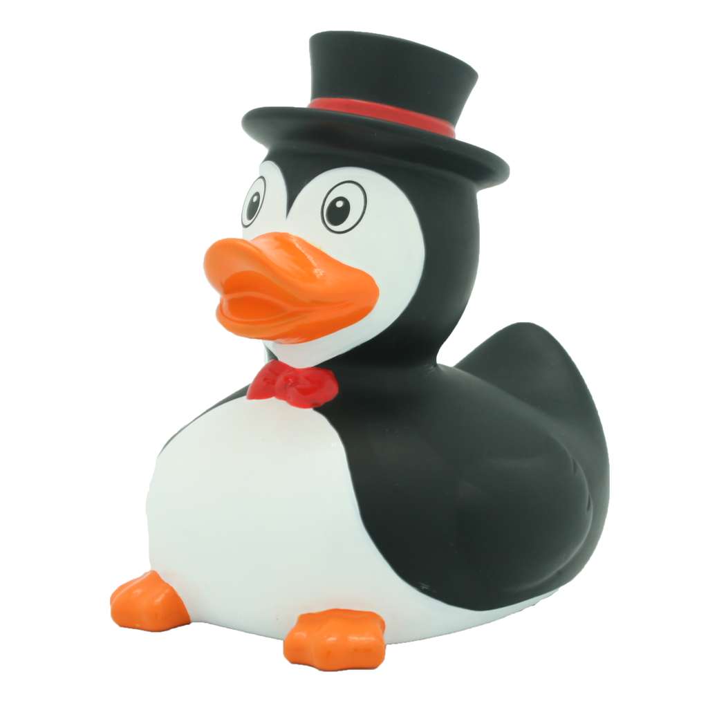 Anatra Pinguino