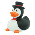 Anatra Pinguino