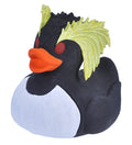 Pinguino saltarocce