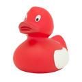 Canard SHARE HAPPINESS