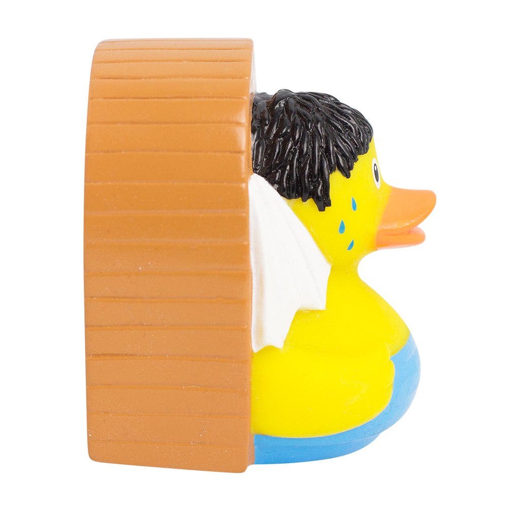 Canard Sauna