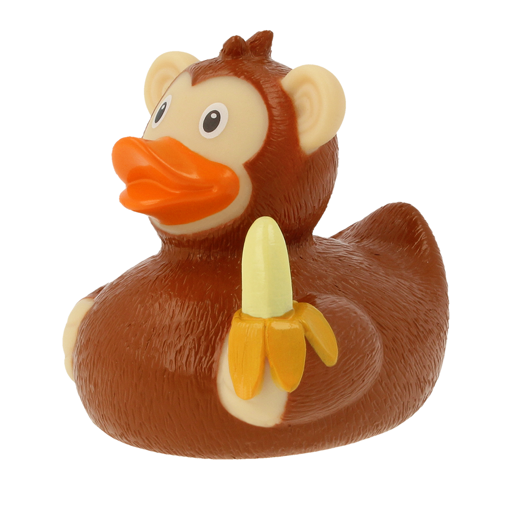 Canard Singe
