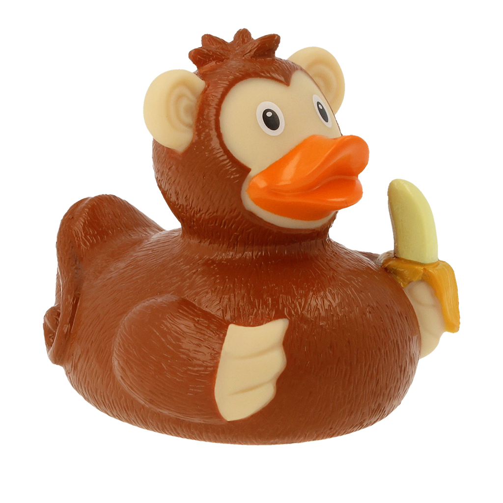 Canard Singe