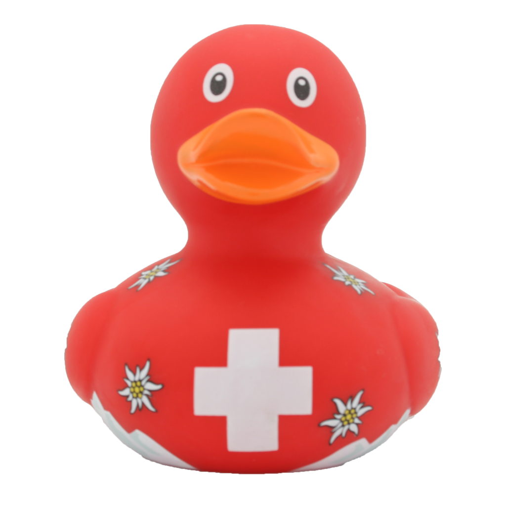 Swiss Duck