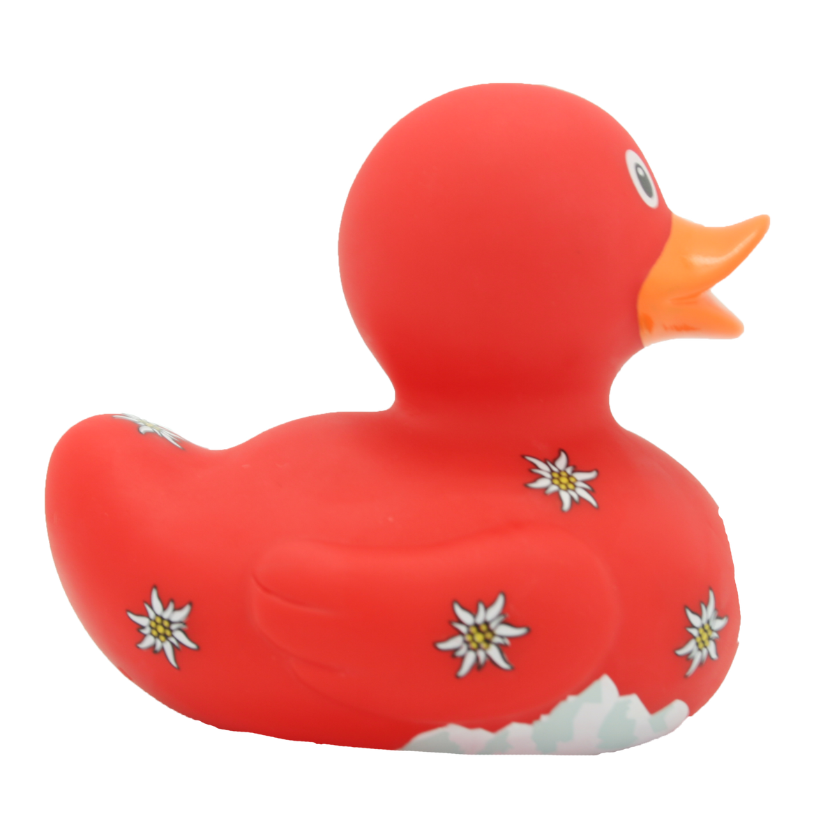 Canard Suisse - vue 3