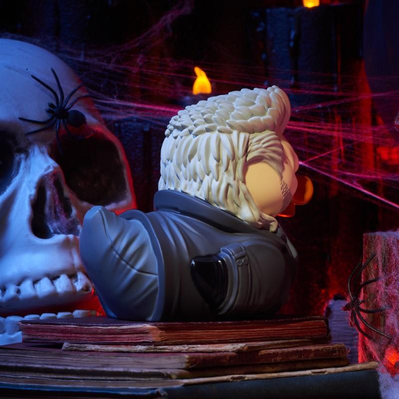 Canard David (First Edition)