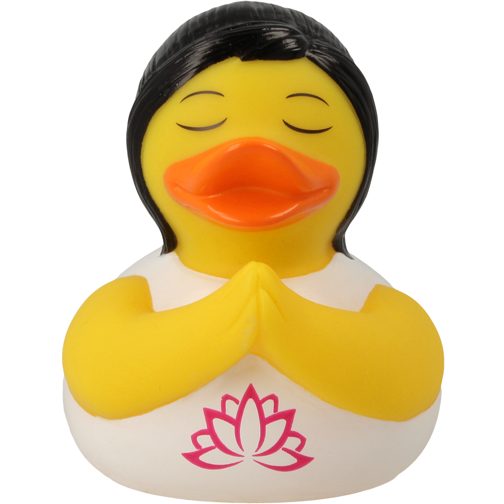 Canard Yoga