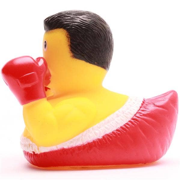 Boxer Duck