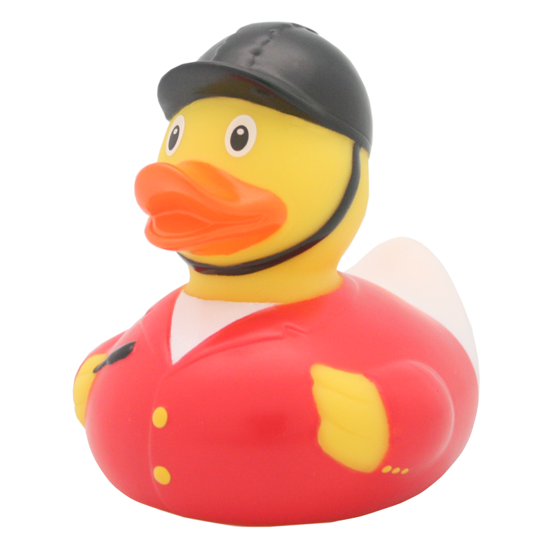 Cavalier Duck
