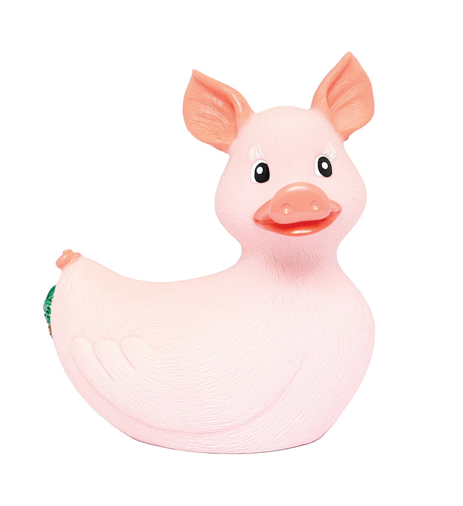 Duck Pig