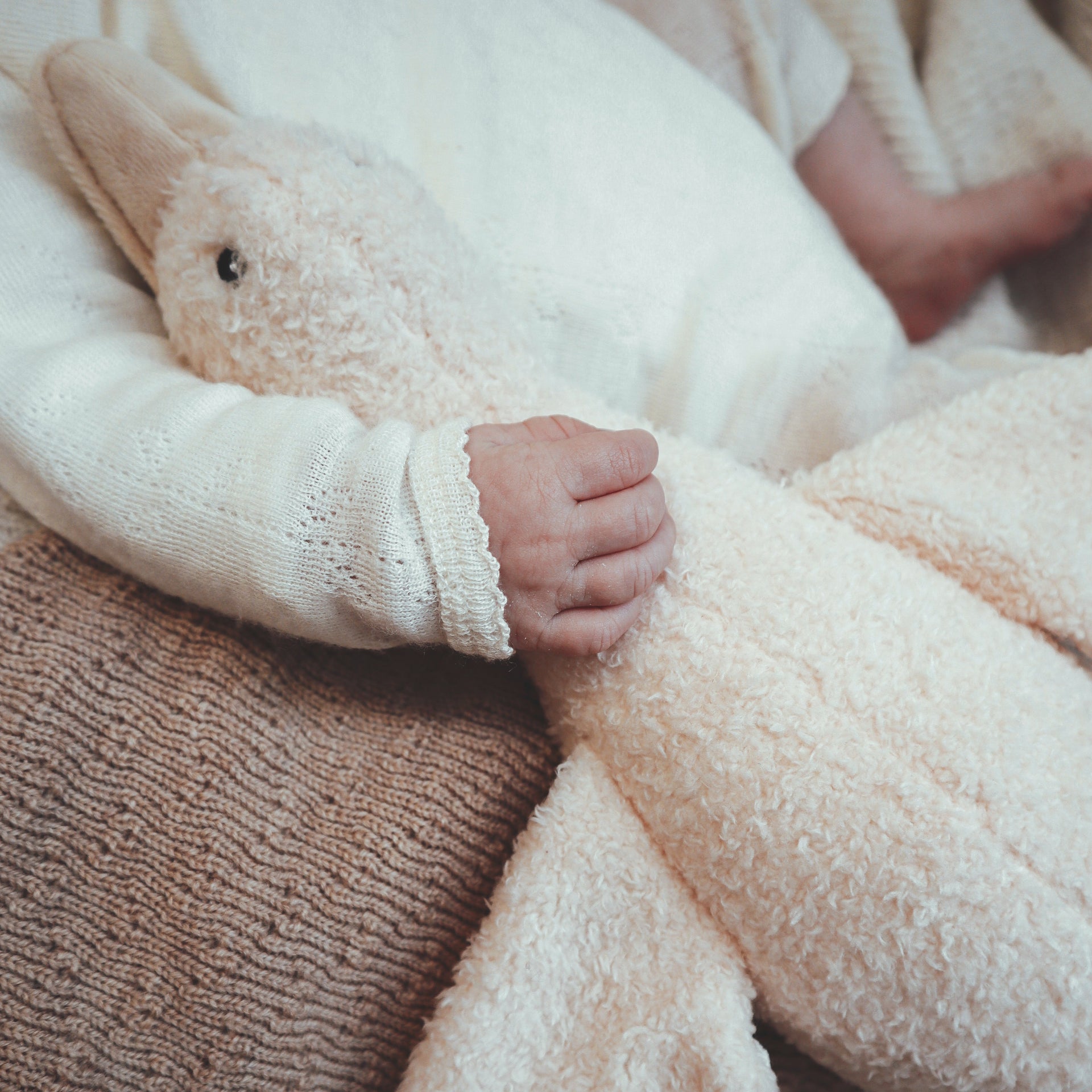 Peluche Rumore Bianco Oca Liva