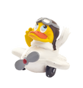 Canard Pilote d’avion