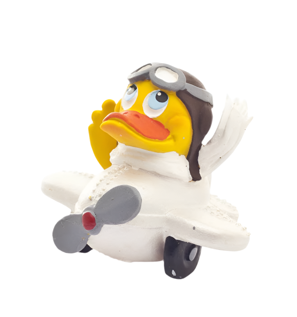 Canard Pilote d’avion