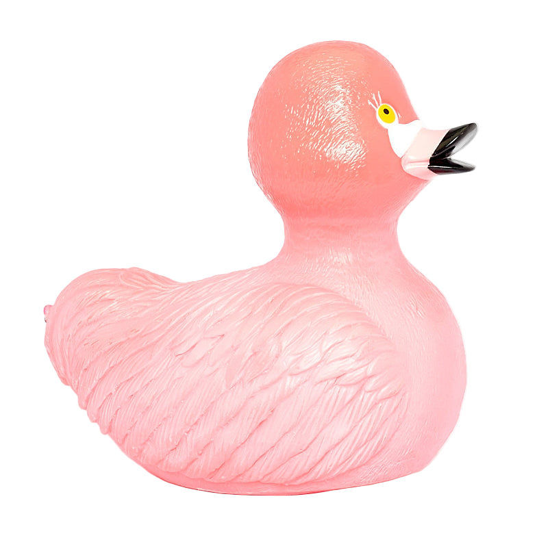 Anatra Fenicottero Rosa