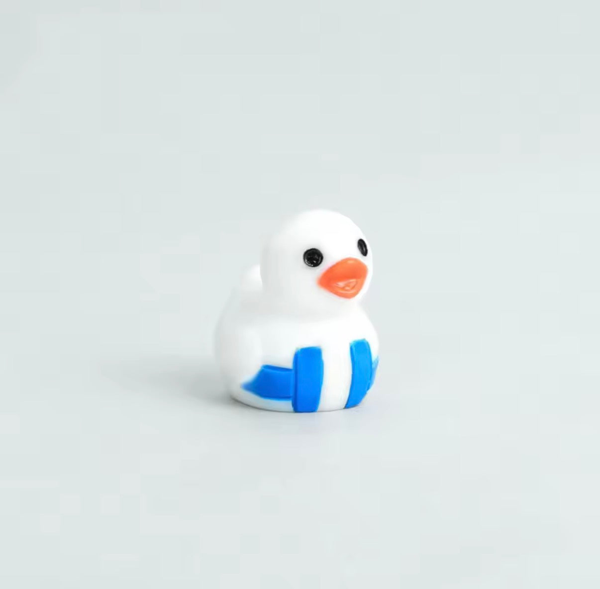 Minis Canards Sportifs