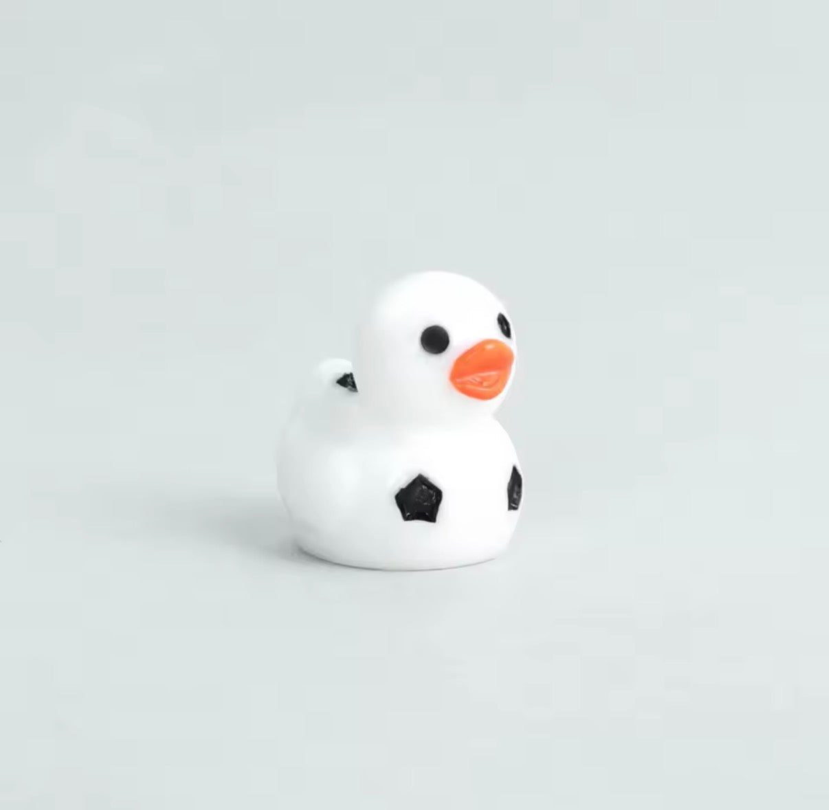 Minis Canards Sportifs