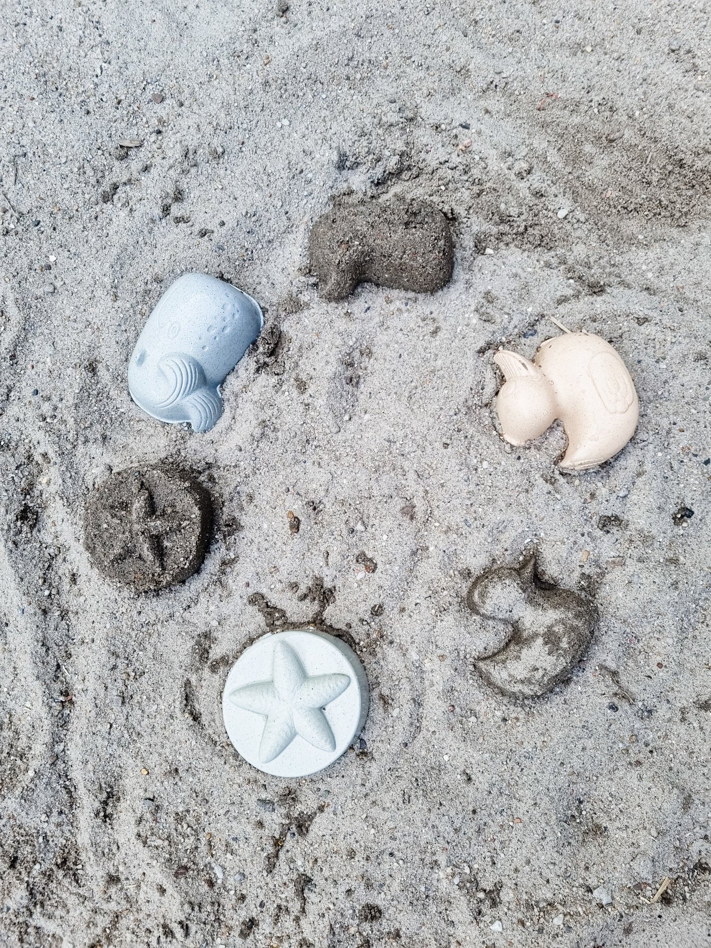 Duck Sand Mold Set