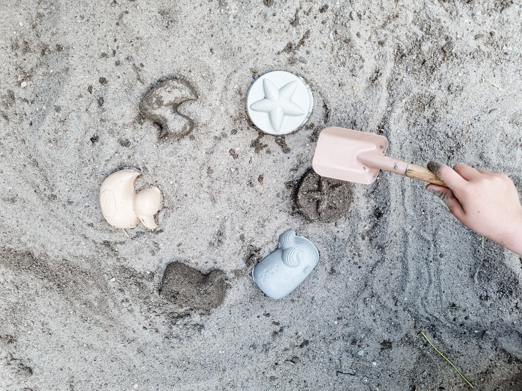 Duck Sand Mold Set