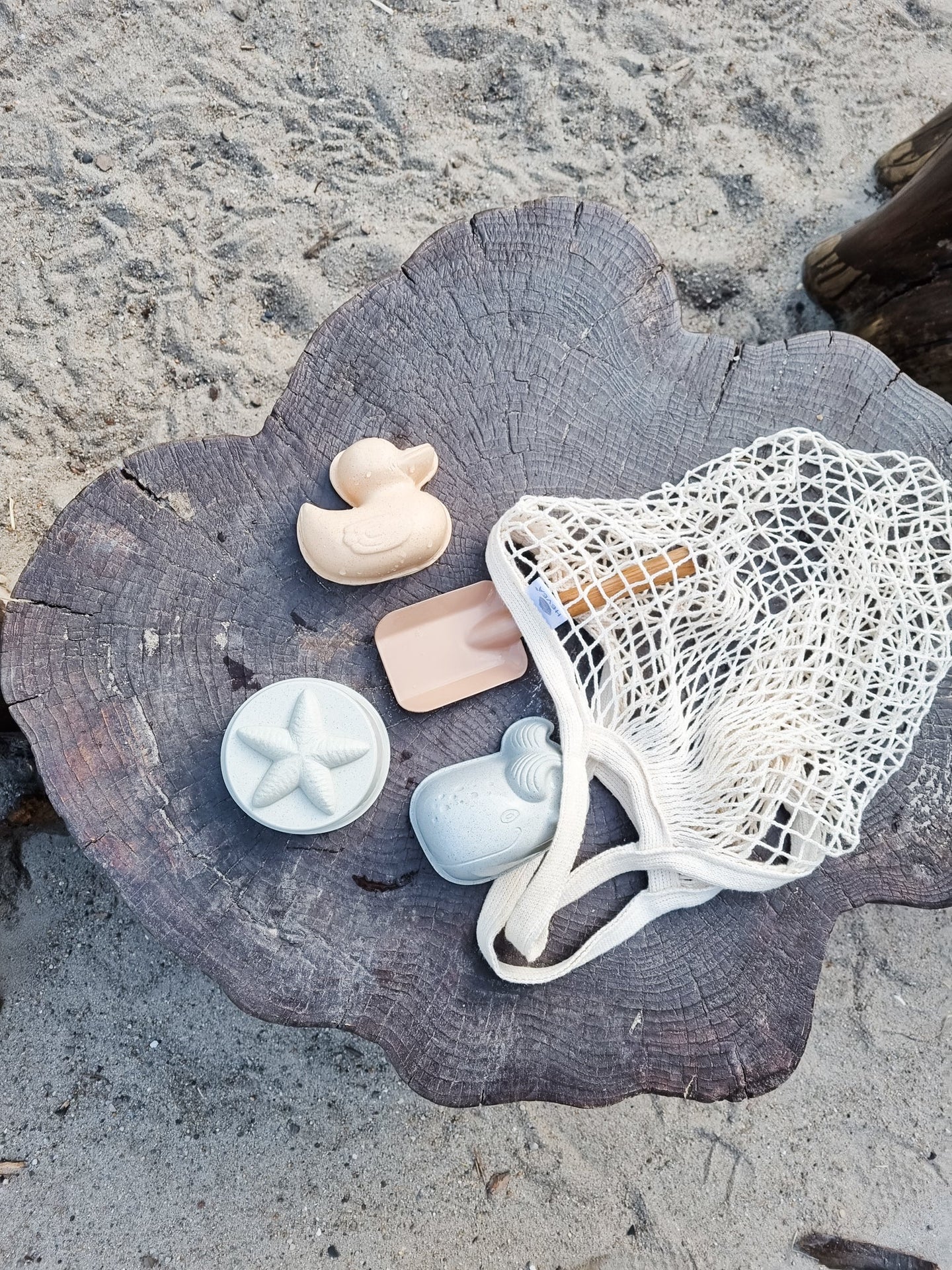 Duck Sand Mold Set