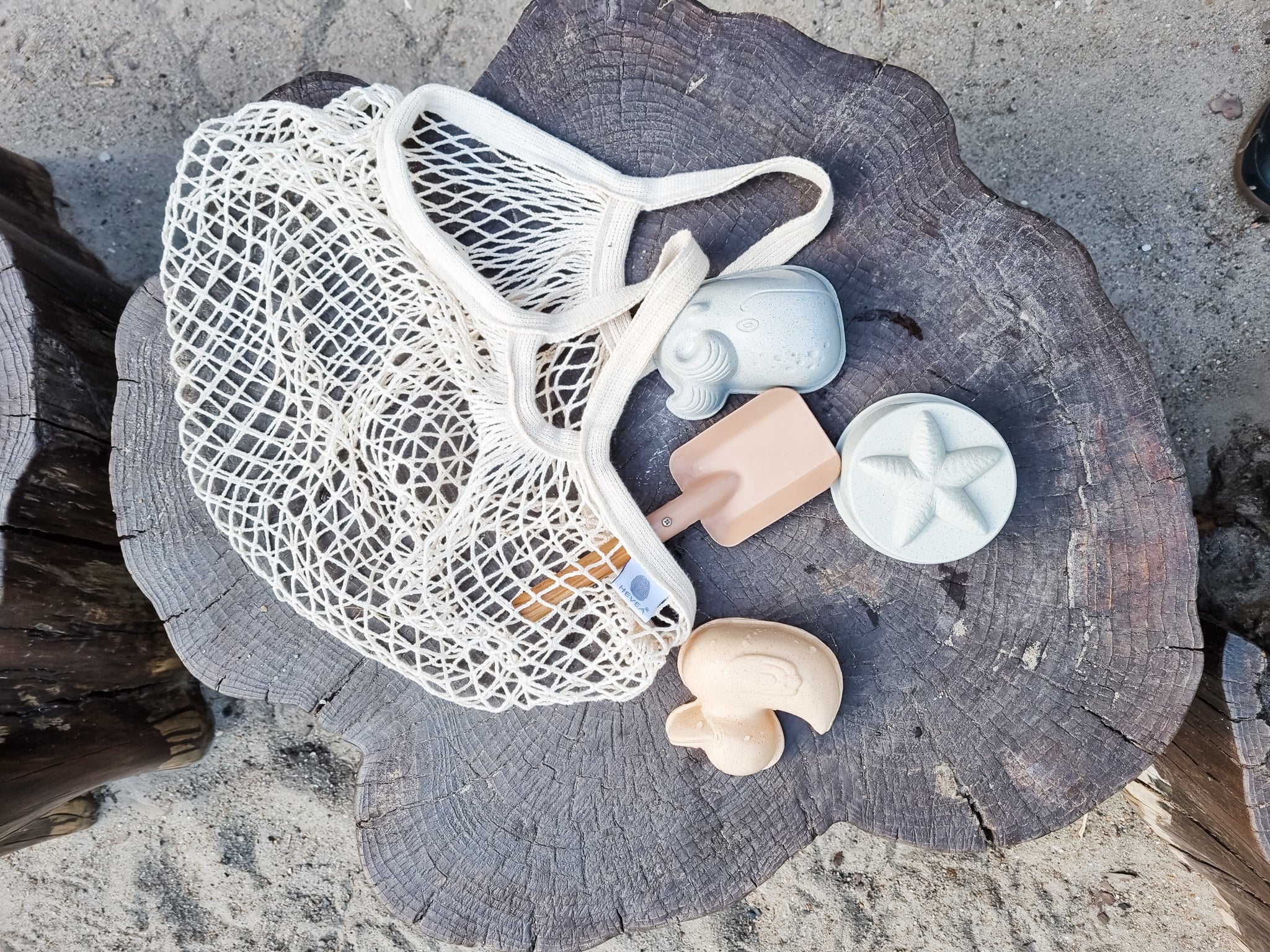 Duck Sand Mold Set